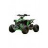 Quad Ares 110cc R6