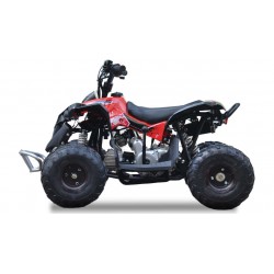 Quad Ares 110cc R6