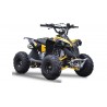 Quad Ares 110cc R6
