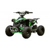QUAD ARES 110CC R6