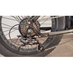 Fat Bike NCX ZERO 20" 250W 36V - (Chic Design)