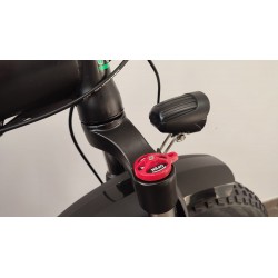 Fat Bike NCX ZERO 20" 250W 36V - (Chic Design)