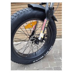 Fat BLACKSTONE x ALLOY 20" 250W 36V