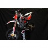 PITBIKE PITSTERPRO LXR R