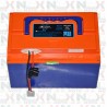 BATTERIA LITIO 48V 12AH ORIGINALE PER ECO RIDER