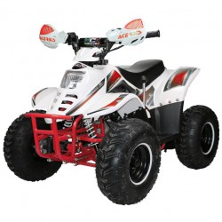 KIT GRAFICHE NCX JAMBO VERDE IN PVC 55 micron