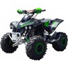 KIT GRAFICHE NCX MEGA RAPTOR VERDE IN PVC 55 micron