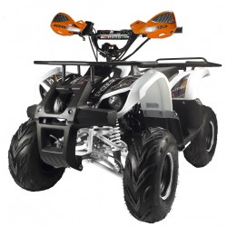 KIT GRAFICHE NCX T-REX ARANCIO IN PVC 55 micron