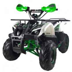 KIT GRAFICHE NCX T-REX VERDE IN CRISTAL