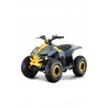 Quad LEM-GRIZZLY ELECTRIC