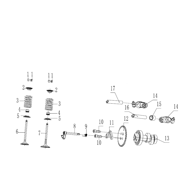 KIT VALVOLE BLOCCO MOTORE ZS190 ZHONG SHENG 190 190cc