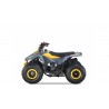Quad LEM-GRIZZLY 110CC QUAD