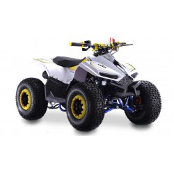 Quad LEM-GRIZZLY 110CC QUAD