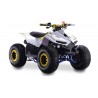 Quad LEM-GRIZZLY 110CC QUAD