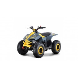 Quad LEM-GRIZZLY 110CC QUAD