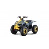 Quad LEM-GRIZZLY 110CC QUAD