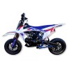 PITBIKE PROFIVE SJR 110 MOTARD 10/10
