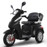 NCX TRIMAX S 1000W 60V