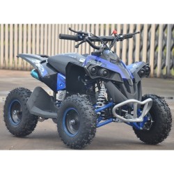 ADESIVI GRAFICHE PER MINIATV MINIQUAD QUAD RENEGADE