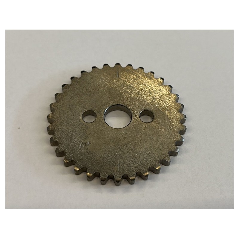 PIGNONE CATENA DISTRIBUZIONE PER PIT BIKE TD160 160cc