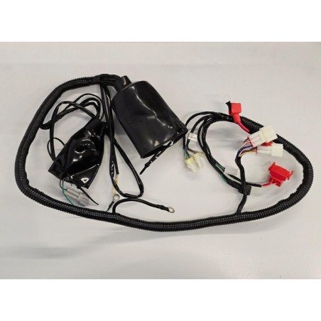 CABLAGGIO IMPIANTO ELETTRICO PER QUAD KAYO A200 A250 200cc 250cc
