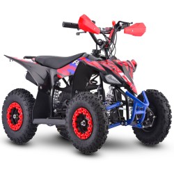 Miniquad NCX FURIOUS BIG 50 R6