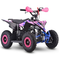 Miniquad NCX FURIOUS BIG 50 R6