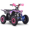 Miniquad NCX FURIOUS BIG 50 R6