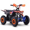 Miniquad NCX FURIOUS BIG 50 R6
