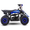 Miniquad NCX FURIOUS BIG 50 R6