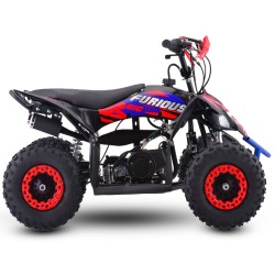 Miniquad NCX FURIOUS BIG 50 R6