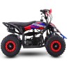 Miniquad NCX FURIOUS BIG 50 R6