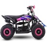 Miniquad NCX FURIOUS BIG 50 R6