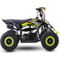 Miniquad NCX FURIOUS BIG 50 R6