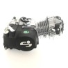 Blocco MOTORE YX 140 Profive