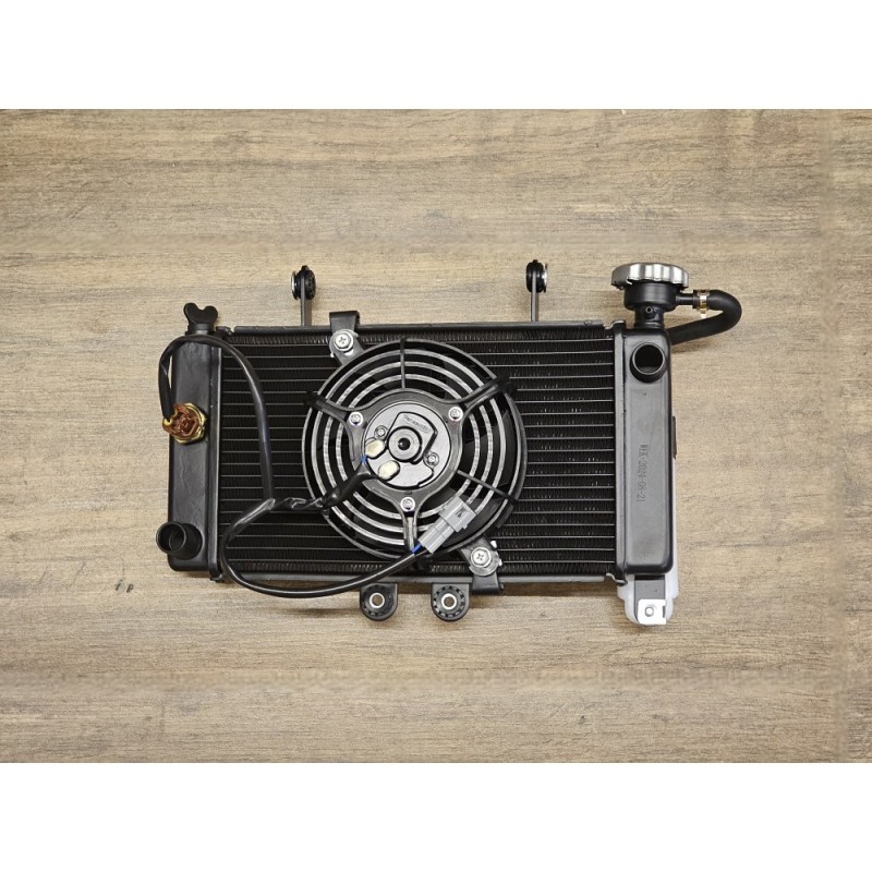RADIATORE DI RAFFREDDAMENTO A LIQUIDO CON VENTOLA INCORPORATA PER QUAD KAYO AU300 L7e