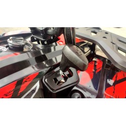 Quad MEGA ANGRY 200 ST R10