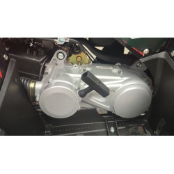 Quad MEGA ANGRY 200 ST R10