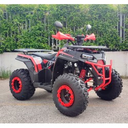 Quad MEGA ANGRY 200 ST R10