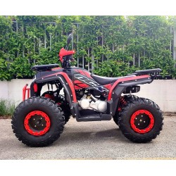 Quad MEGA ANGRY 200 ST R10