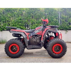 Quad MEGA ANGRY 200 ST R10