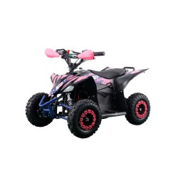 Miniquad FURIOUS BIG 1000W R6 - ELETTRICO