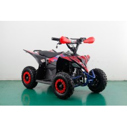 Miniquad FURIOUS BIG 1000W R6 - ELETTRICO