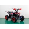 Miniquad FURIOUS BIG 1000W R6 - ELETTRICO